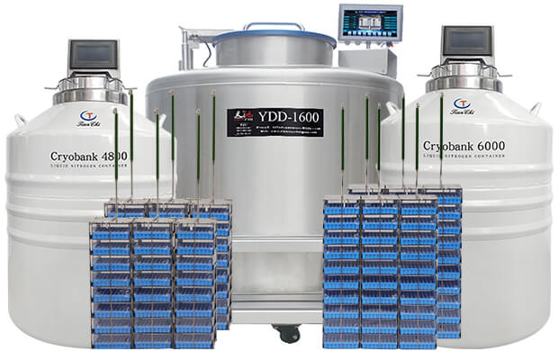 氣相液氮罐YDD與CryoBank的區(qū)別